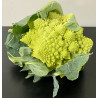 Chou romanesco Bio