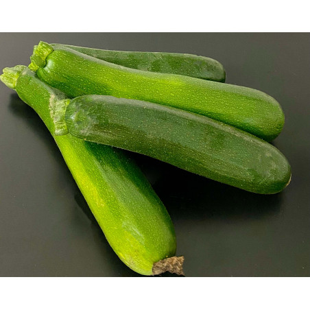 Courgettes 500g environ