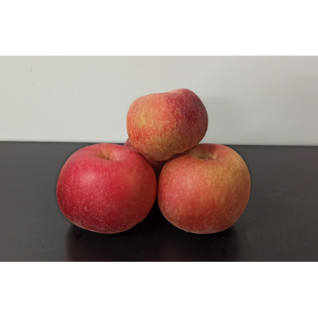 Pommes Pink 1kg environ