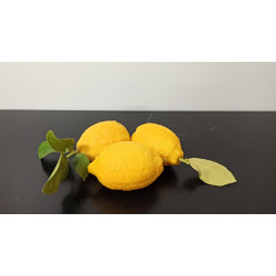 Citrons 500g