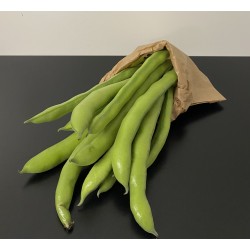 Fèves 500g environ