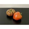 Tomates Aciennes* Bio 1 à 2 pièces 500g environ