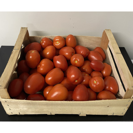 Caisse de 5kg de tomates Roma