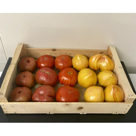Caisse de 5kg de tomates...