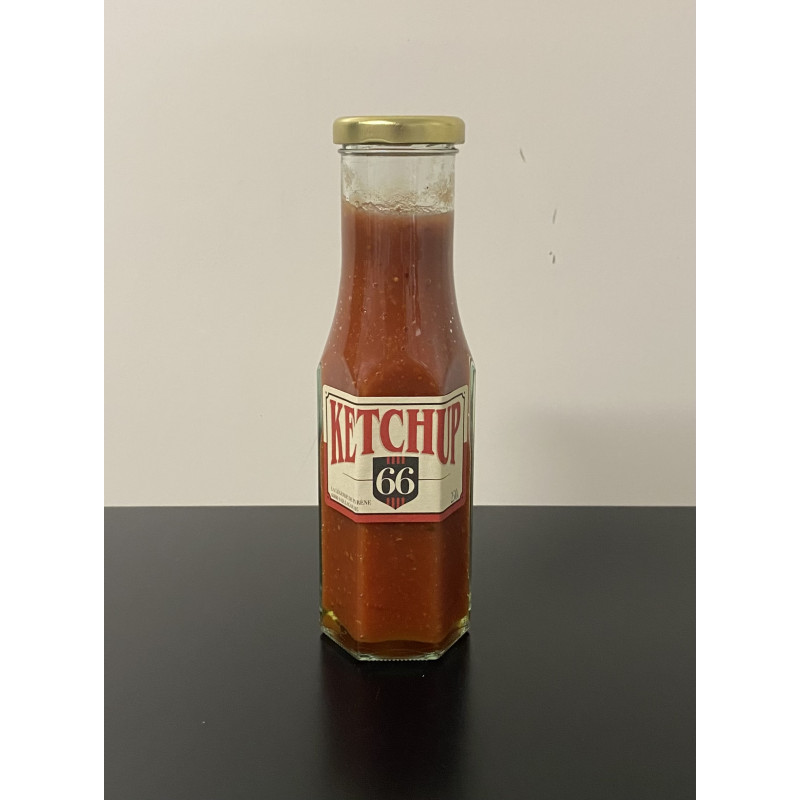 Ketchup 25 cl
