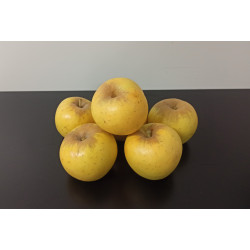 Pommes Opal 1kg environ