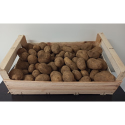 Pomme de terre de Montagne 10kg environ