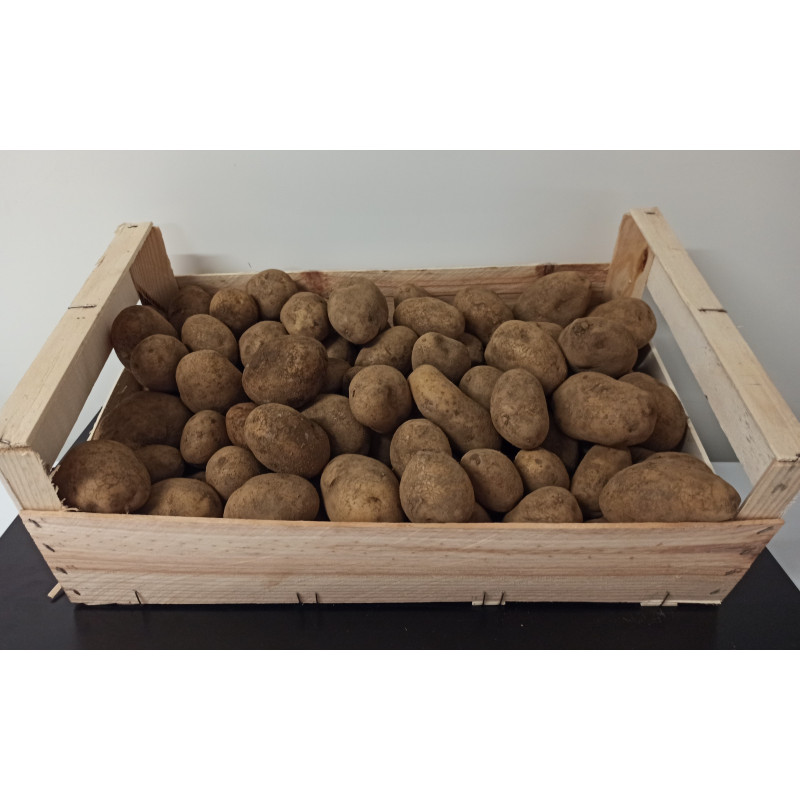 Pomme de terre de Montagne 10kg environ
